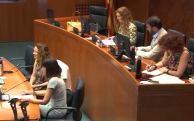 La AEM comparece ante las Cortes de Aragón